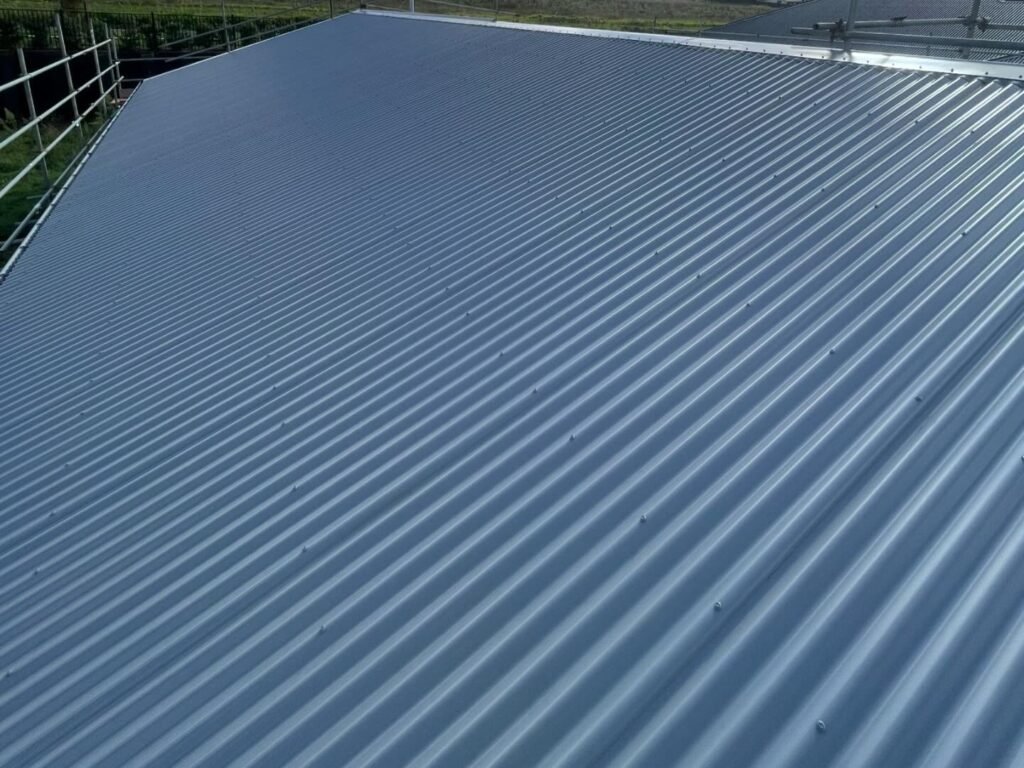 roof repairs manukau